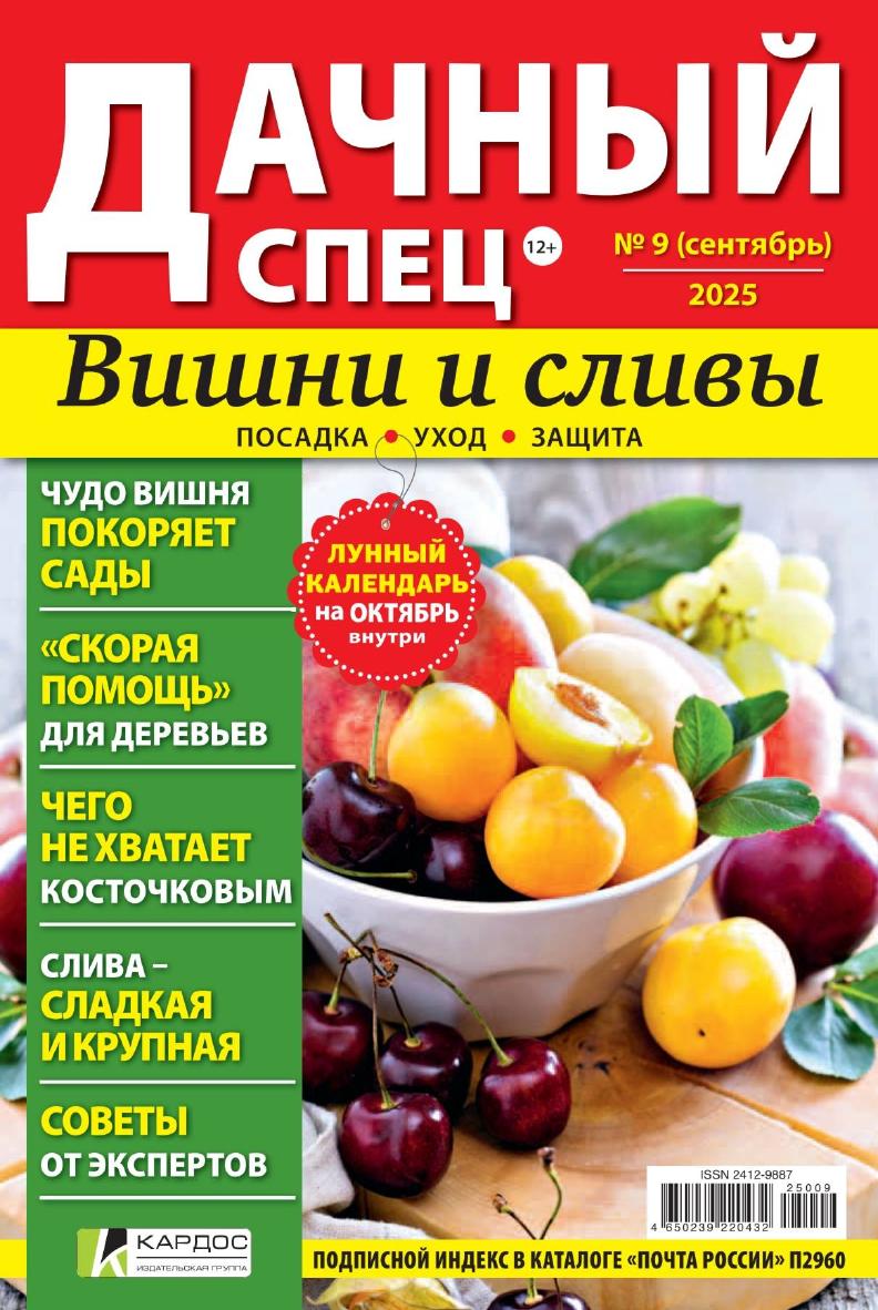 Обложка