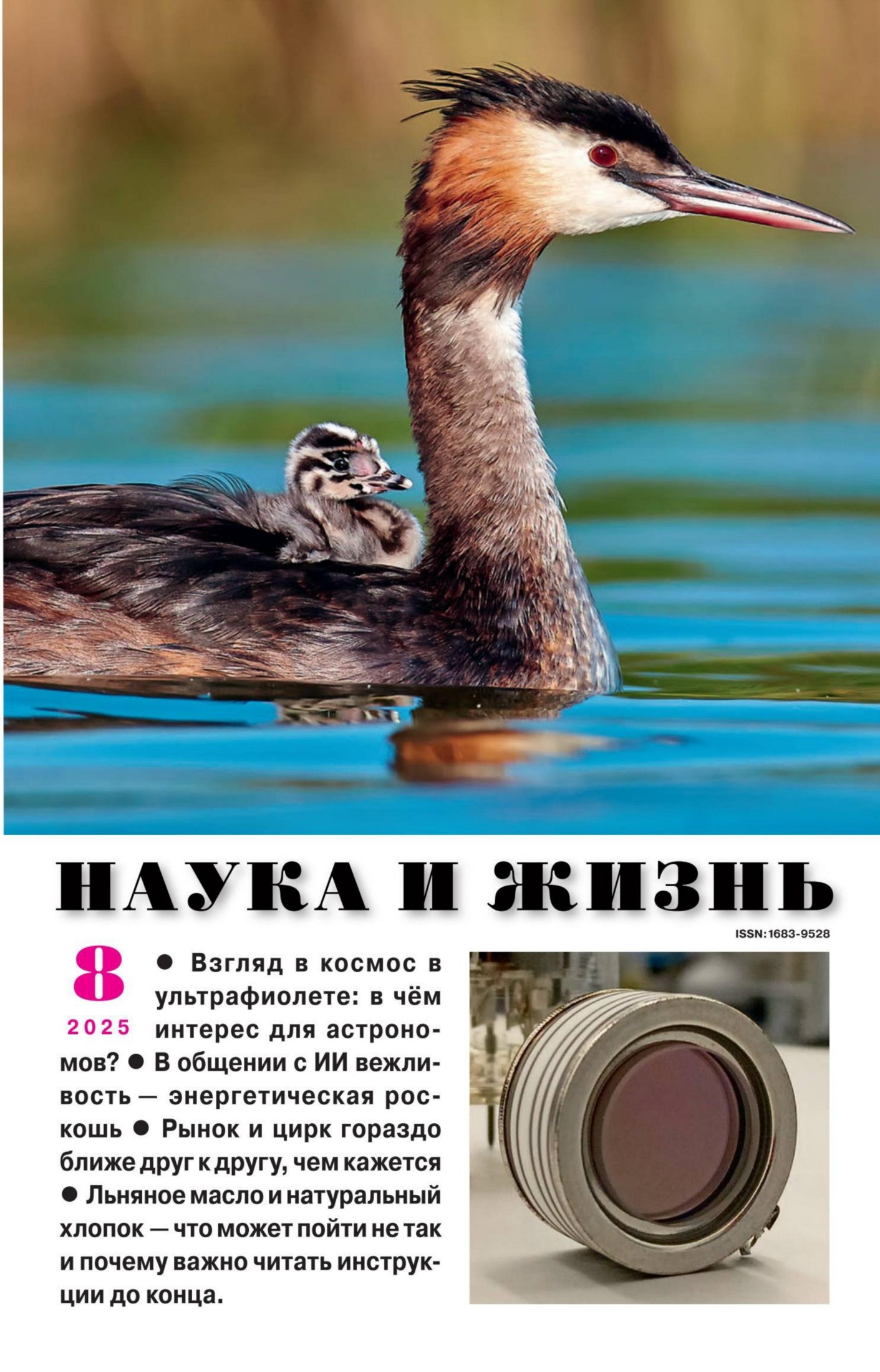 Обложка
