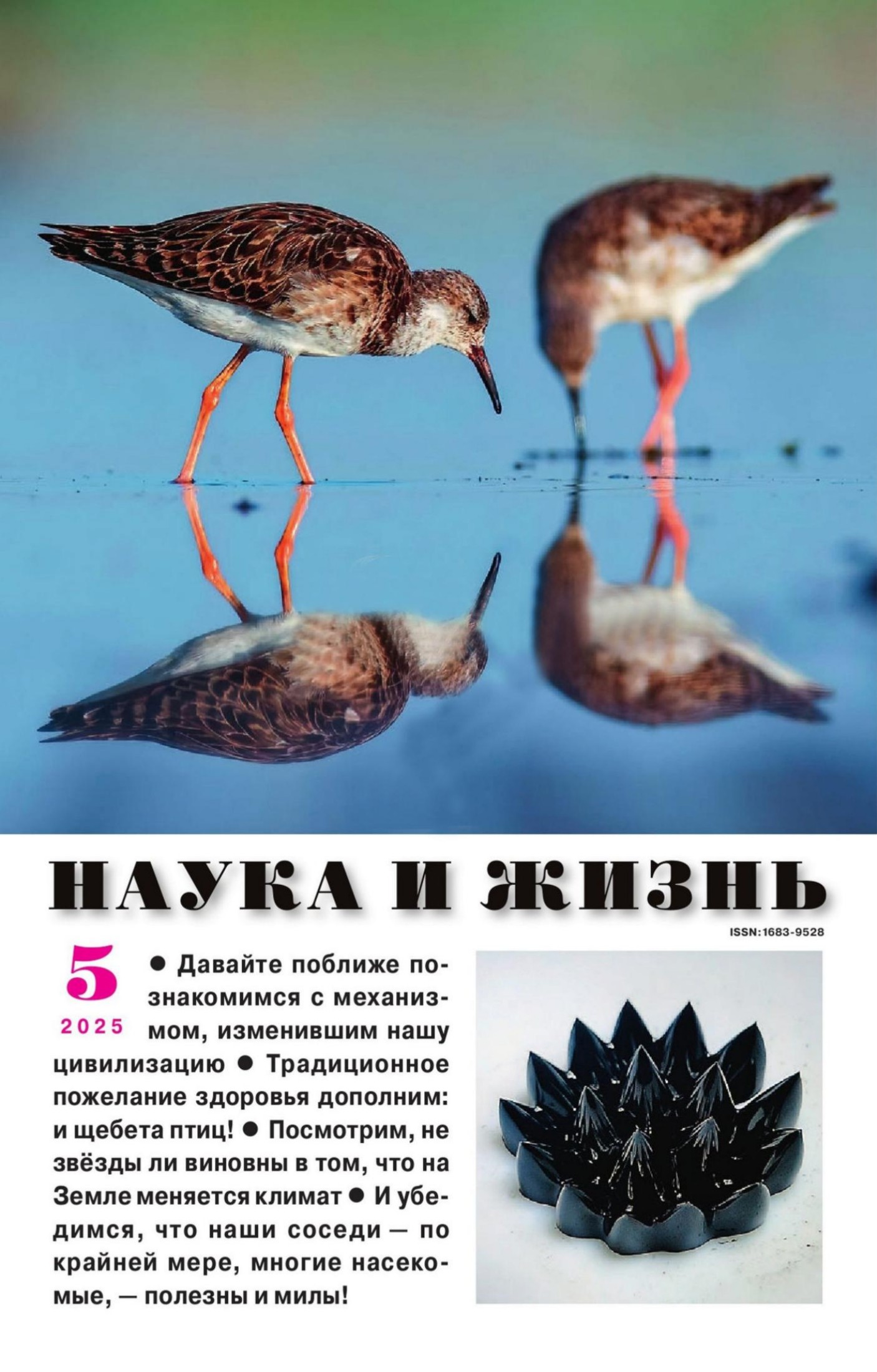 Обложка
