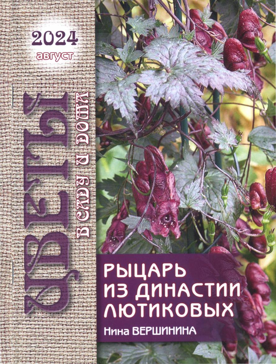 Обложка