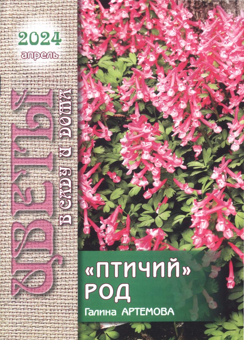 Обложка
