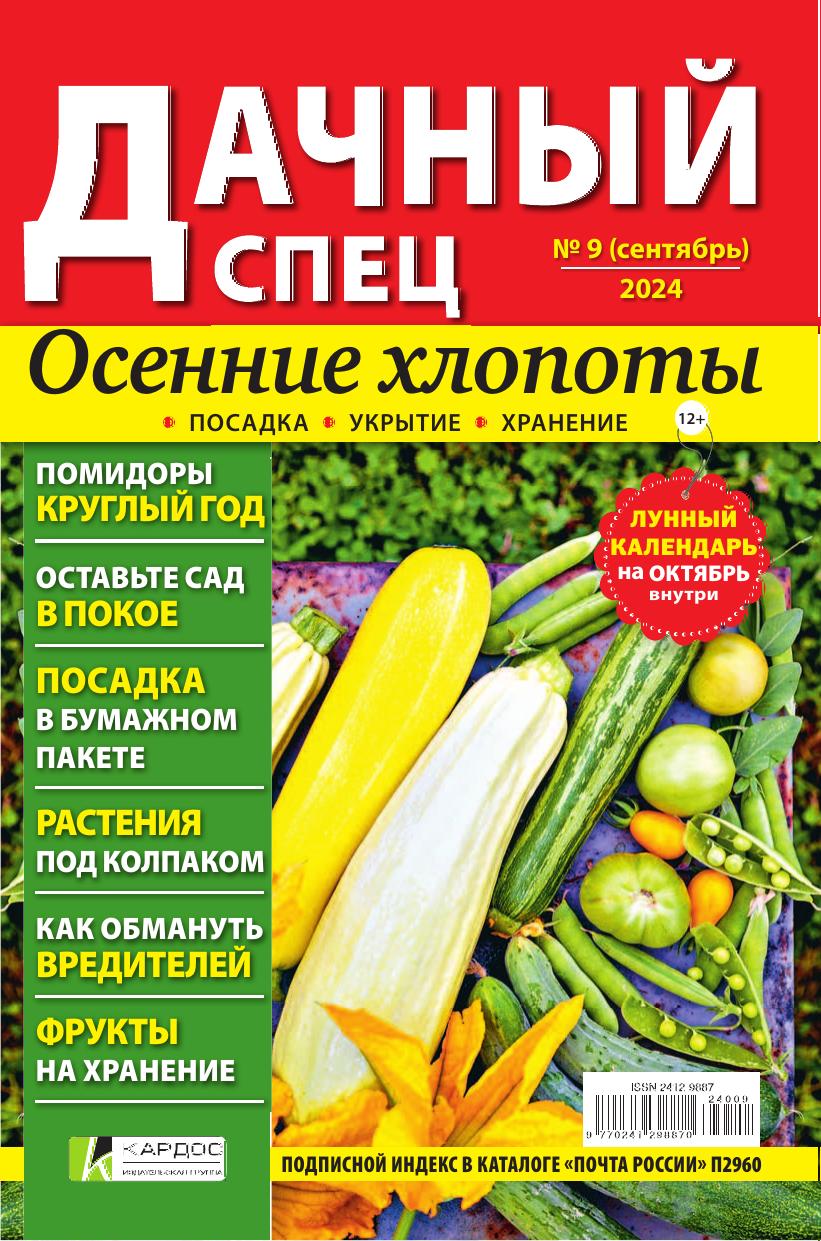 Обложка