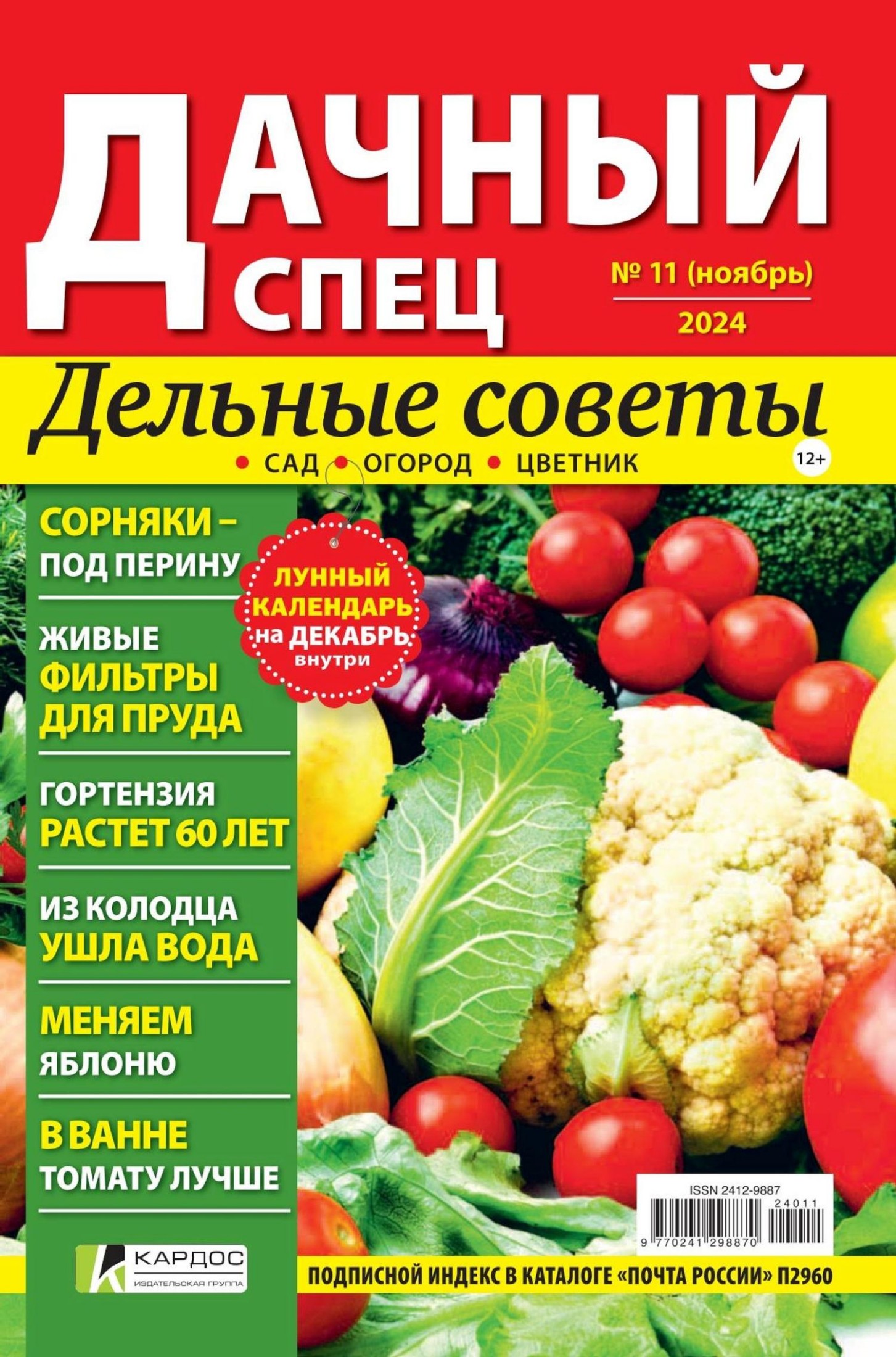 Обложка