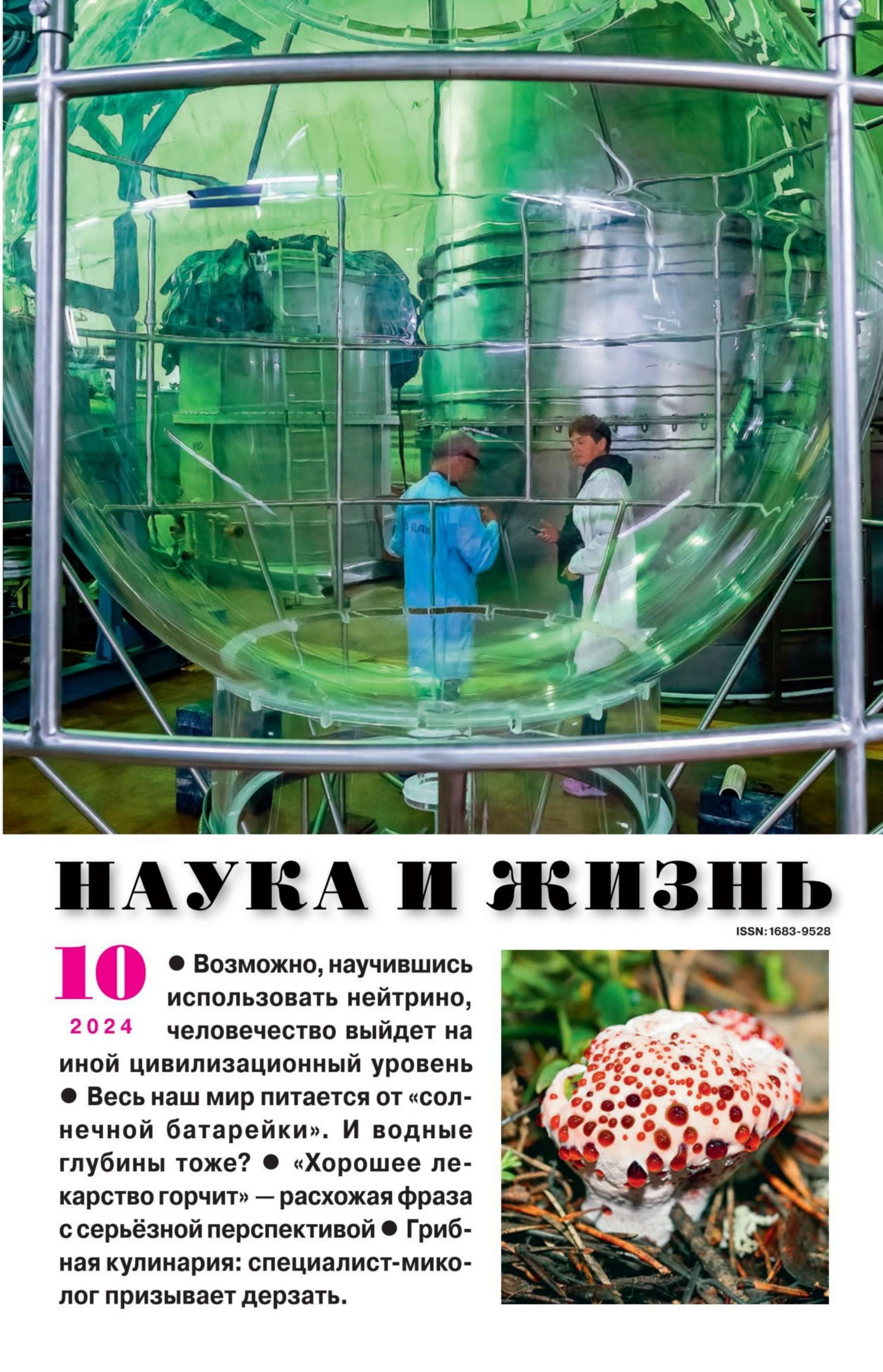 Обложка