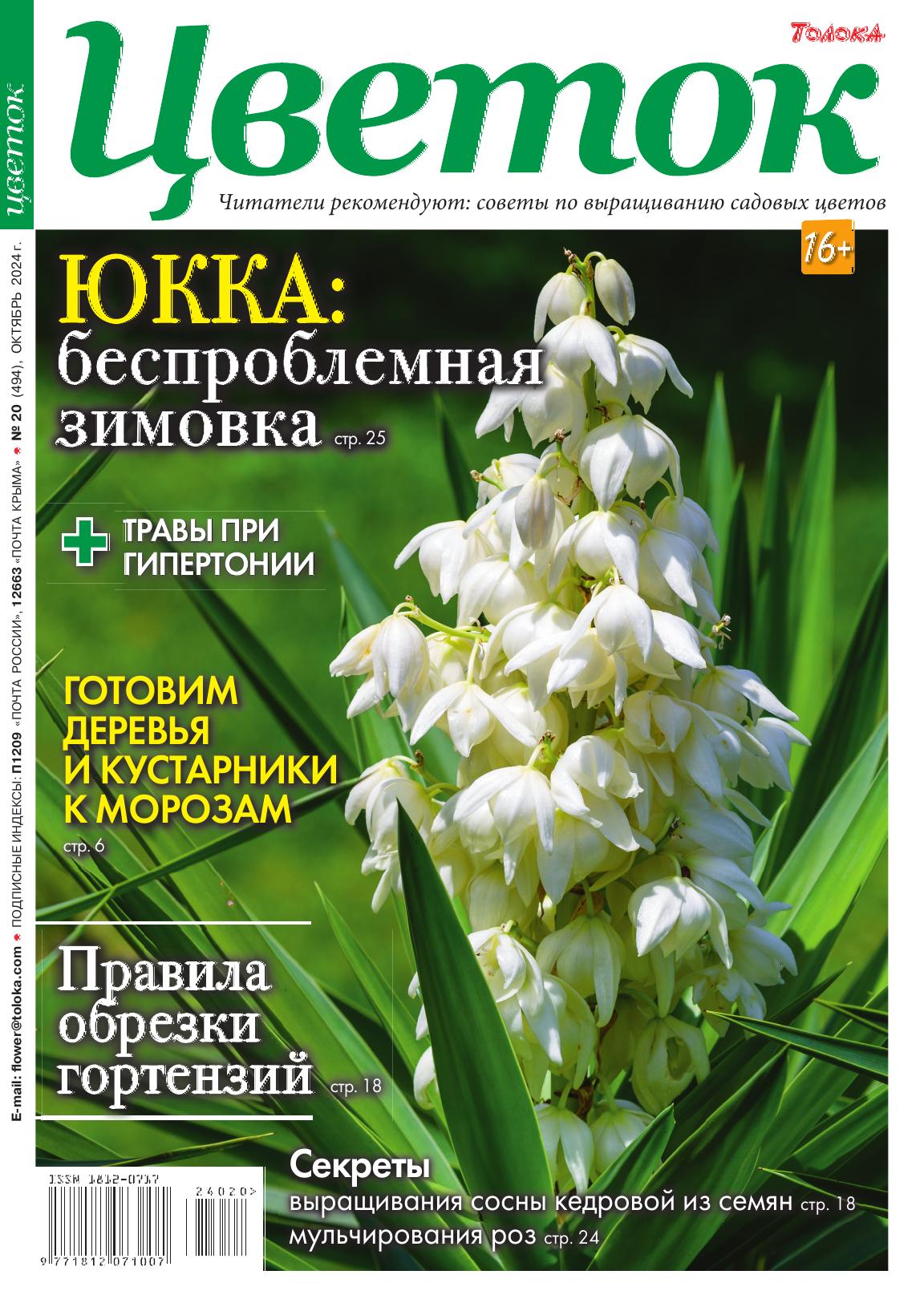 Обложка