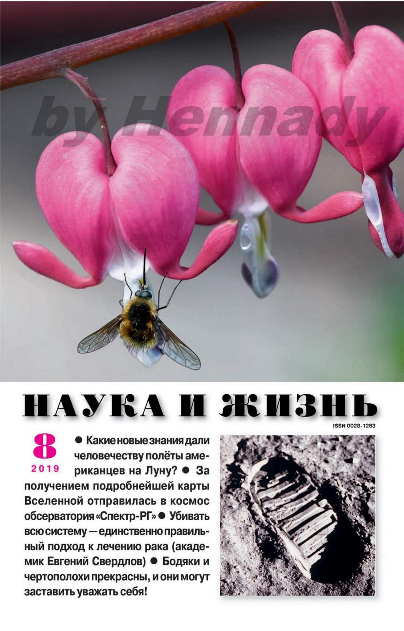 Обложка